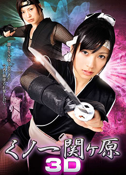 女忍关原封面图