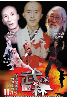 武林探秘封面图