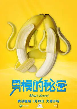 男模的秘密封面图
