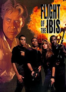 无敌雄鹰封面图