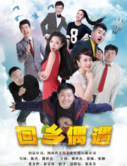 回乡偶遇封面图