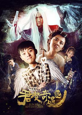 君贺奇遇记封面图