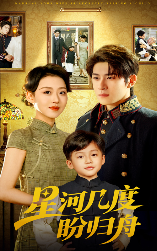 星河几度盼归舟封面图