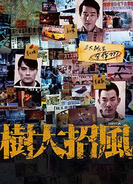 树大招风封面图