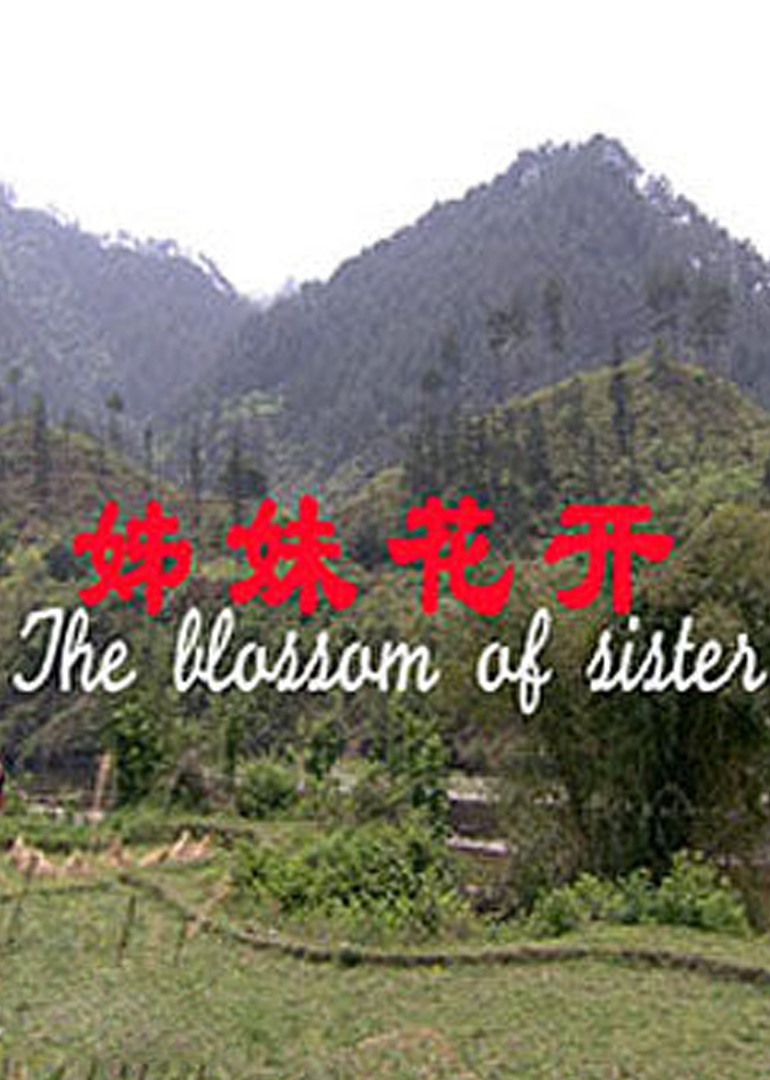 姊妹花开封面图