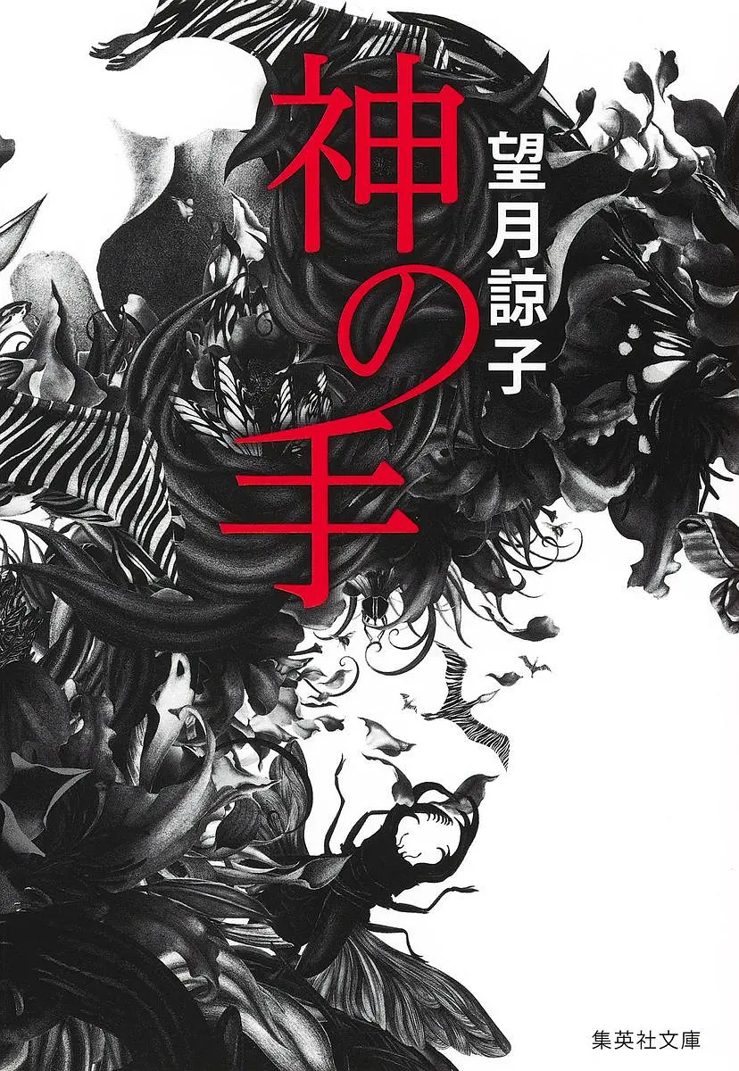 神之手封面图
