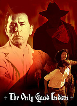 印第安好人封面图