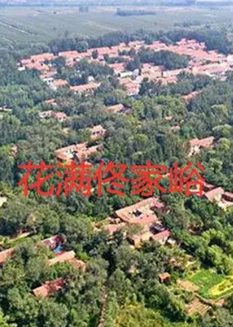 花满佟家峪封面图