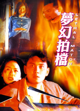 梦幻拍档封面图