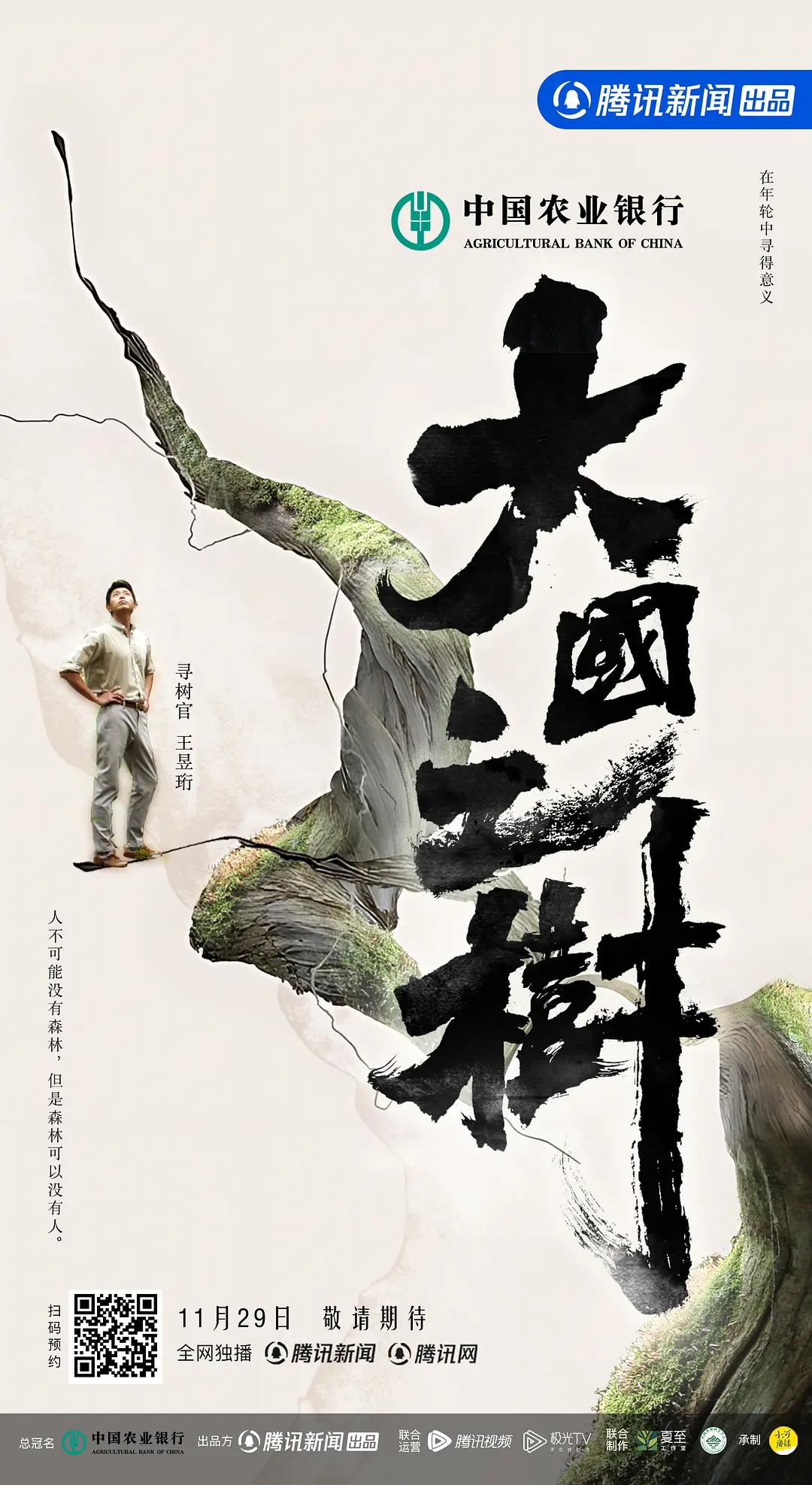 大国之树封面图