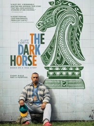 幽暗骏马封面图