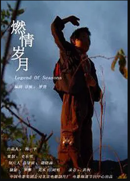 燃情岁月封面图