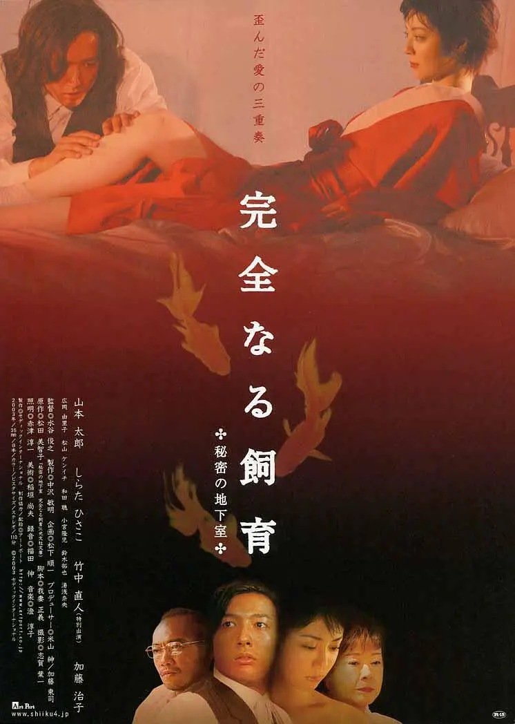 禁室培欲4：秘密地下室封面图