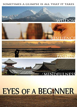 重获光明之旅封面图