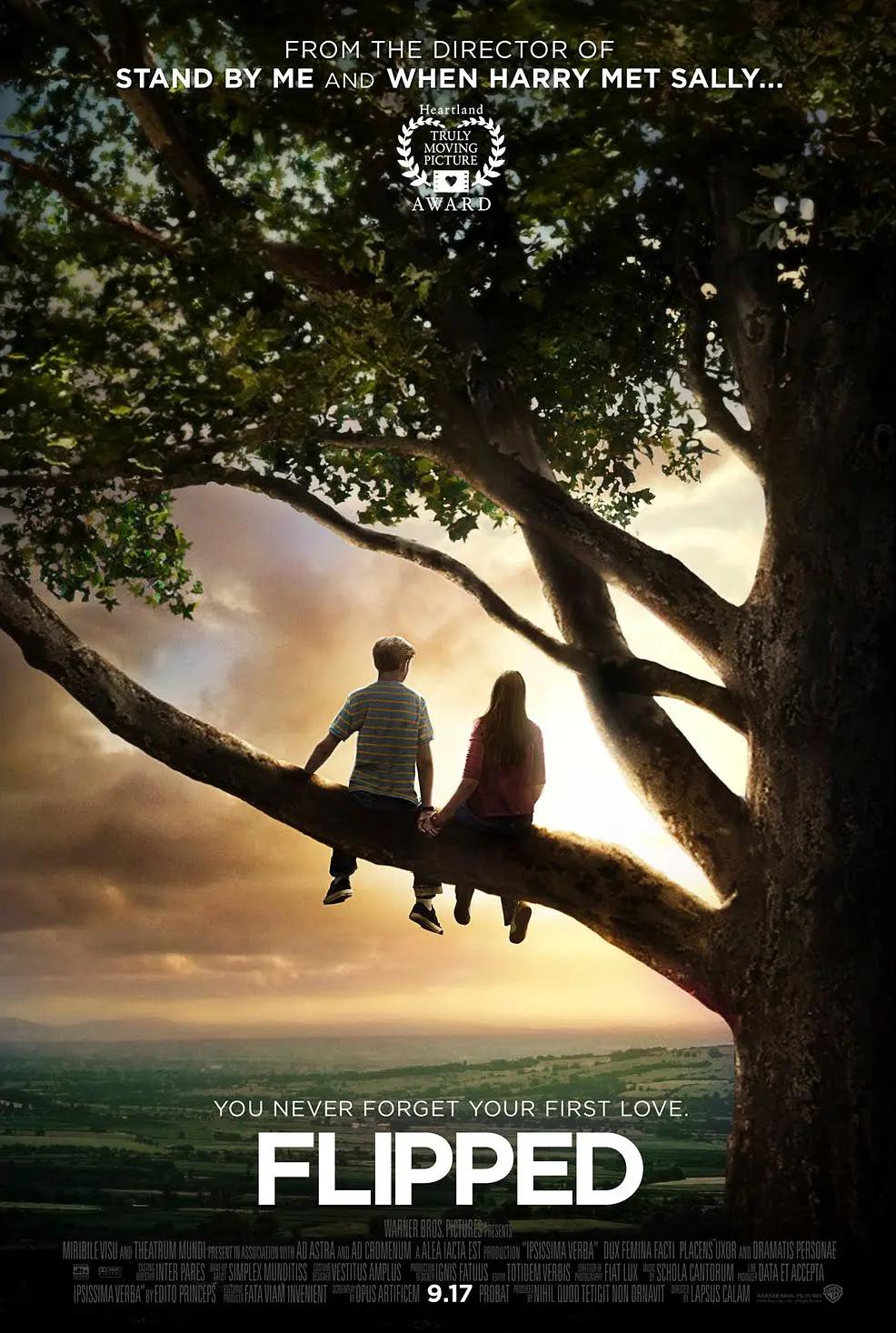 怦然心动2010封面图