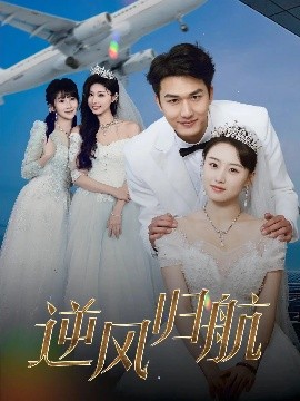 逆风归航封面图