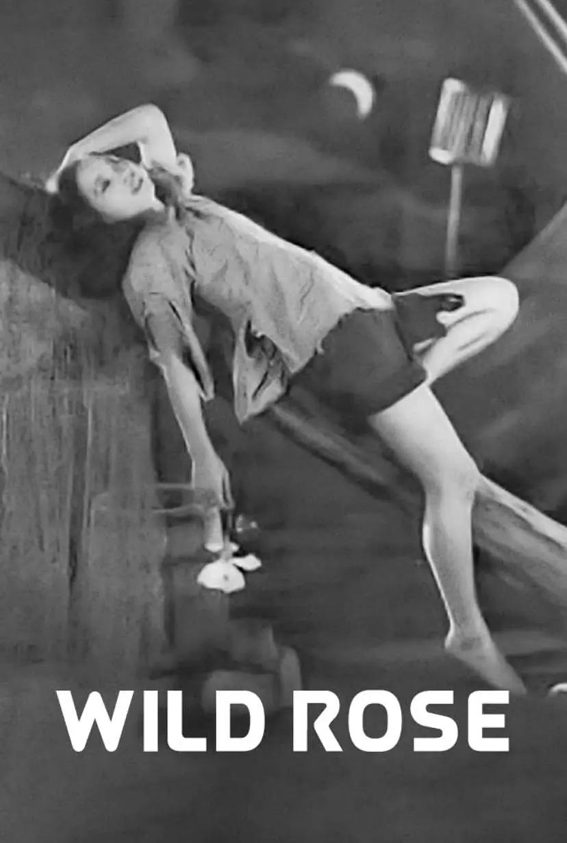 野玫瑰1932封面图