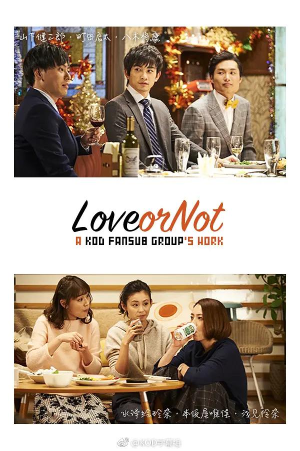 Love or Not封面图