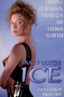 虎胆神偷封面图