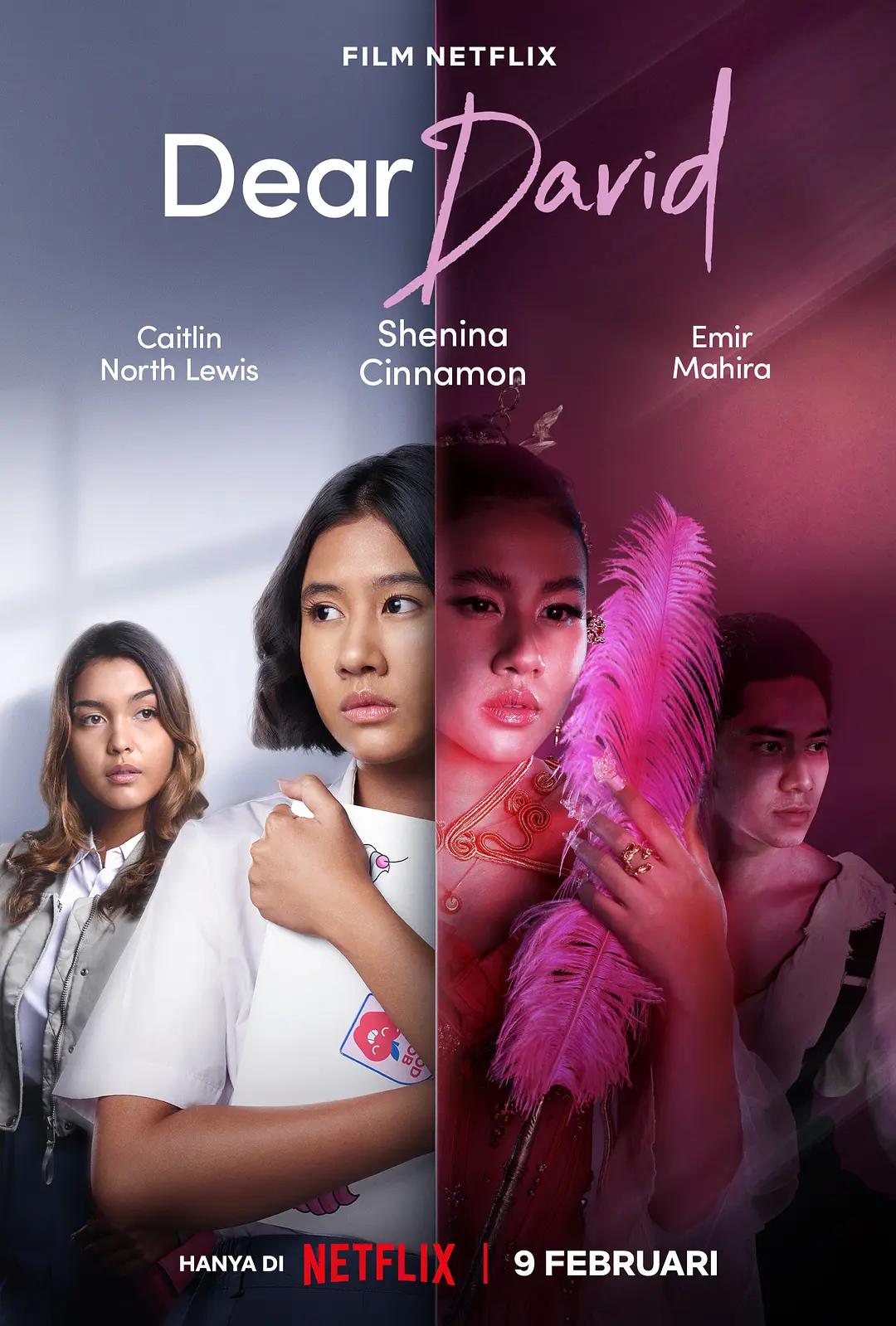 亲爱的大卫2023印尼封面图