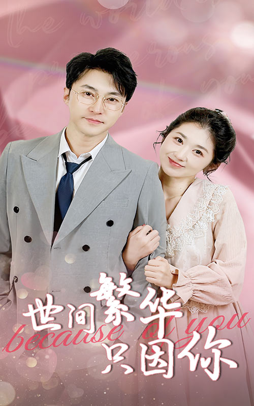 世间繁华只因你封面图