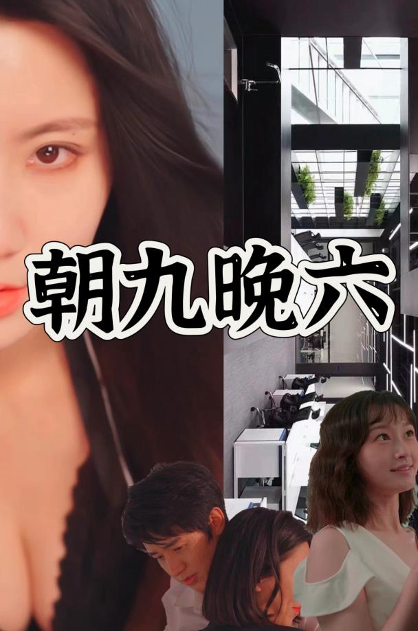 朝九晚六封面图