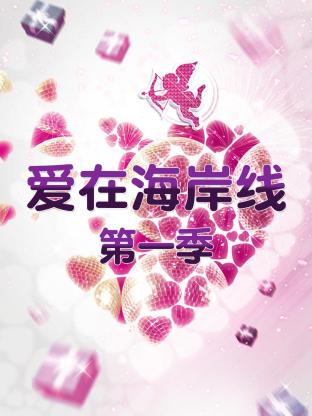 爱在海岸线第一季封面图