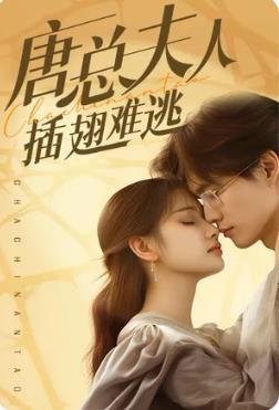 唐总夫人插翅难逃封面图