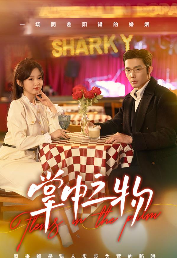 掌中之物封面图