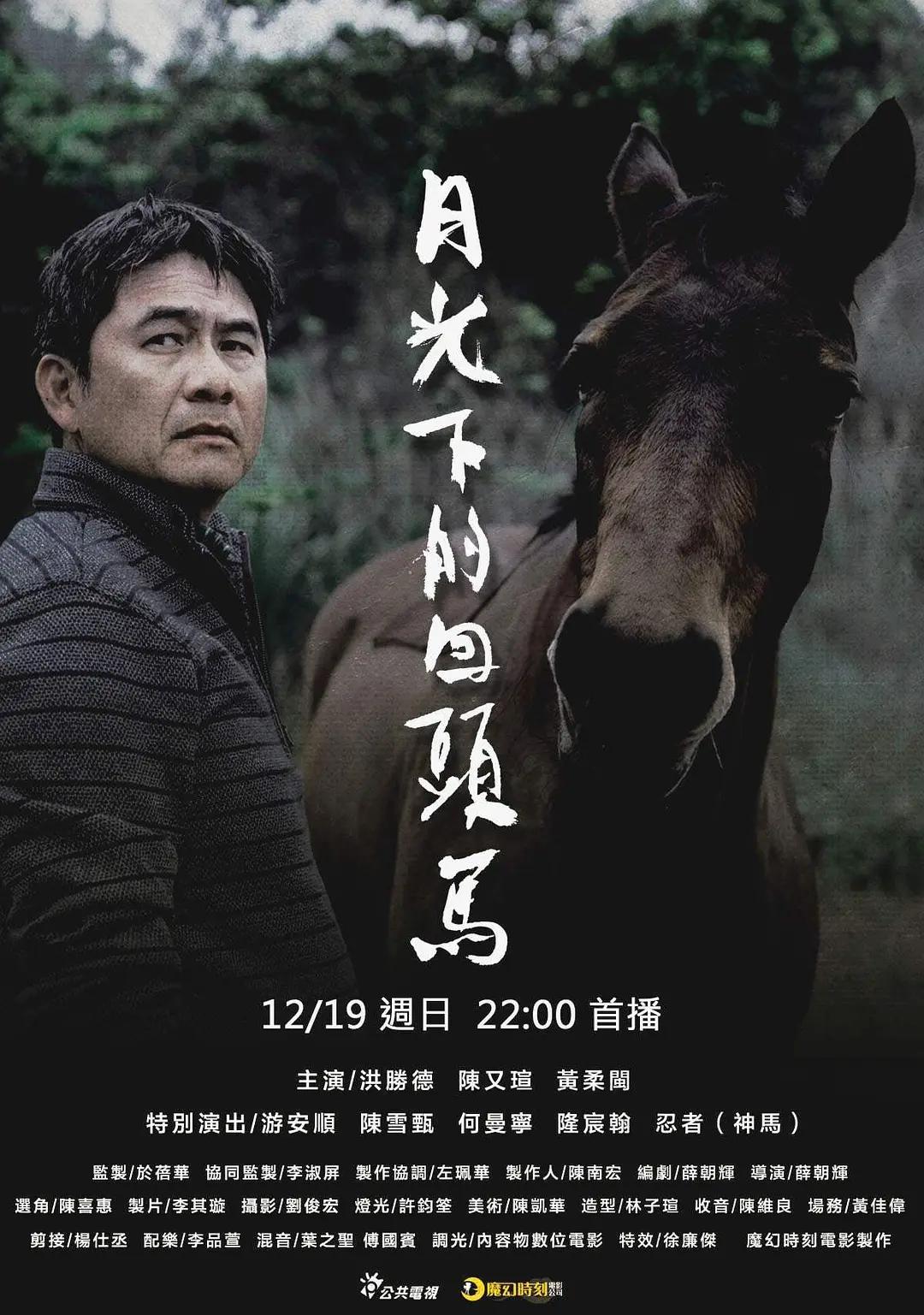 月光下的回头马封面图