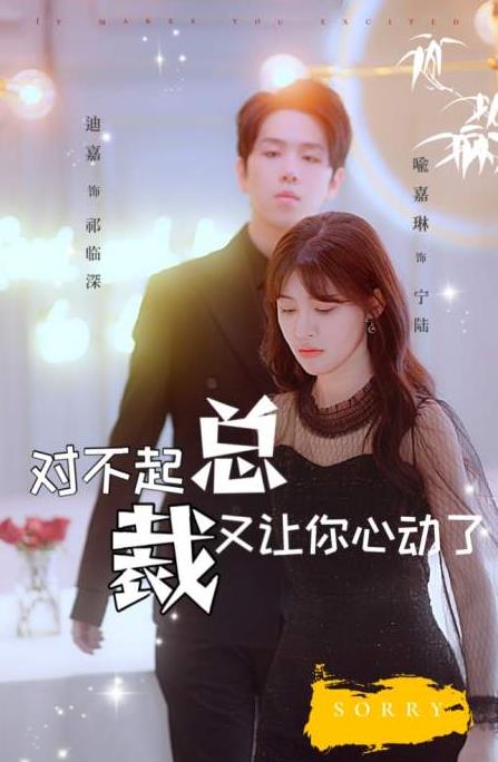 对不起总裁又让你心动了封面图