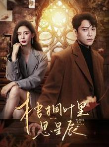 梧桐叶里思星辰封面图