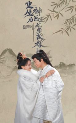 重生后神医王妃要改嫁封面图