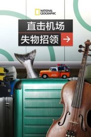 直击机场失物招领封面图