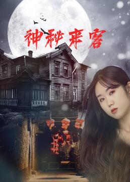 神秘来客封面图