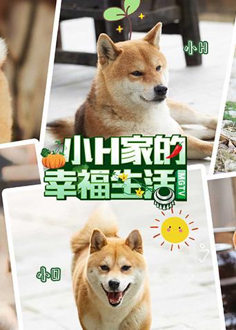 小H家的幸福生活封面图