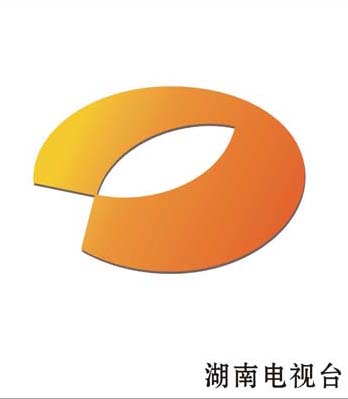 2010金芒果粉丝节封面图