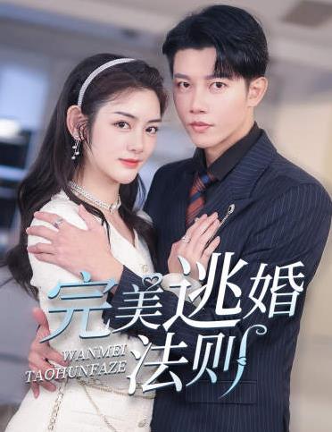 完美逃婚法则封面图