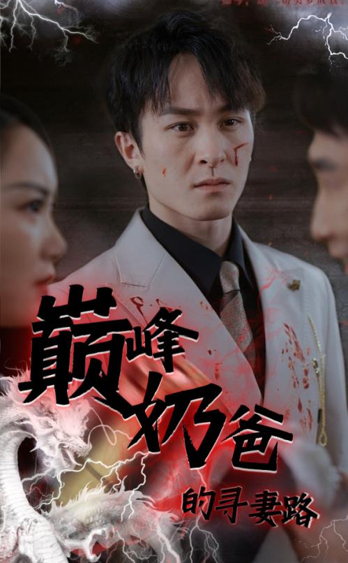 巅峰奶爸的寻妻路封面图