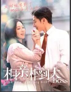 相亲相到大boss封面图