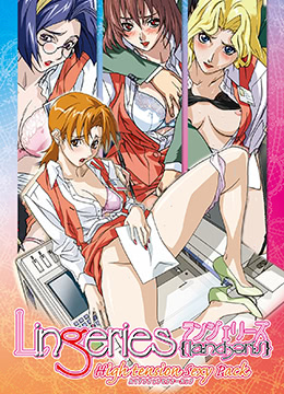 內衣办公室封面图