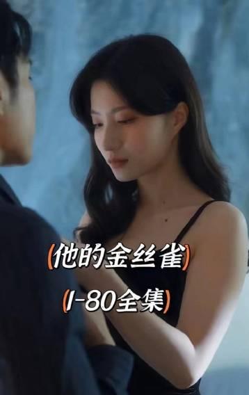 他的金丝雀封面图