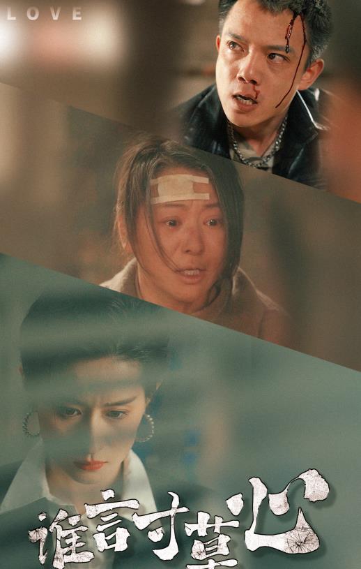 谁言寸草心封面图