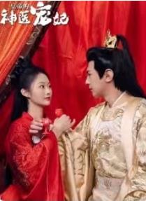 皇帝的神医宠妃封面图