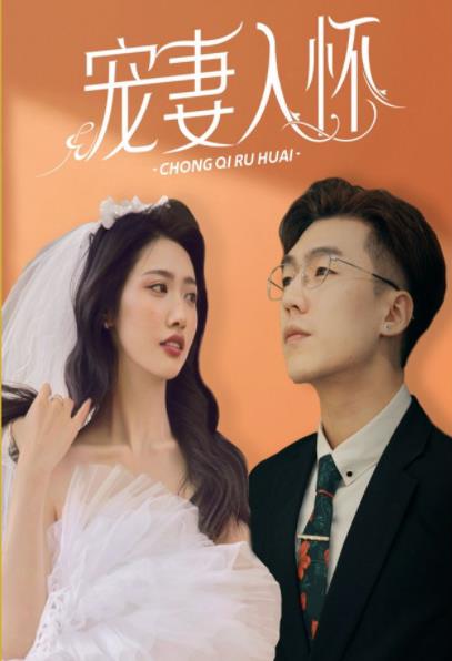 宠妻入怀封面图