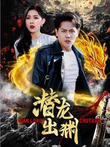 潜龙出渊封面图