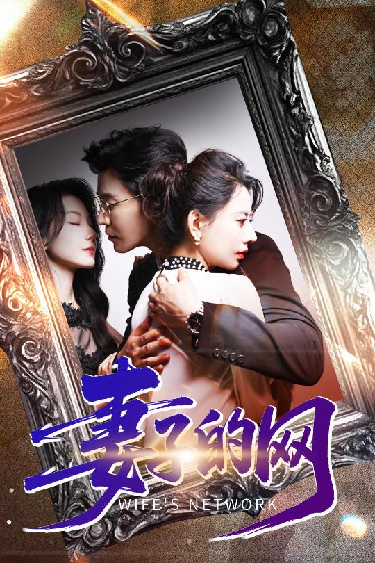 妻子的网封面图