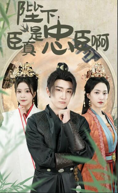 陛下，臣真是忠臣啊封面图