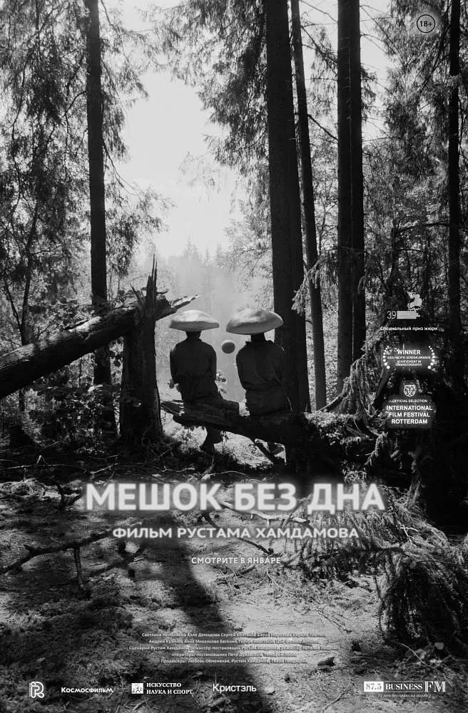 无底袋2017封面图