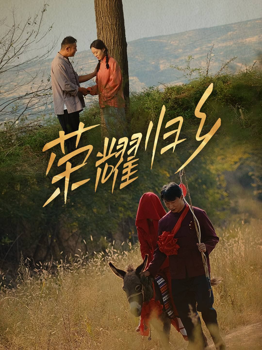 荣耀归乡封面图